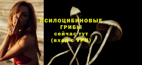 PSILOCYBIN Тобольск