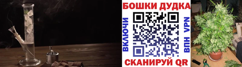 Бошки марихуана SATIVA & INDICA  Купить закладки  Архангельск 